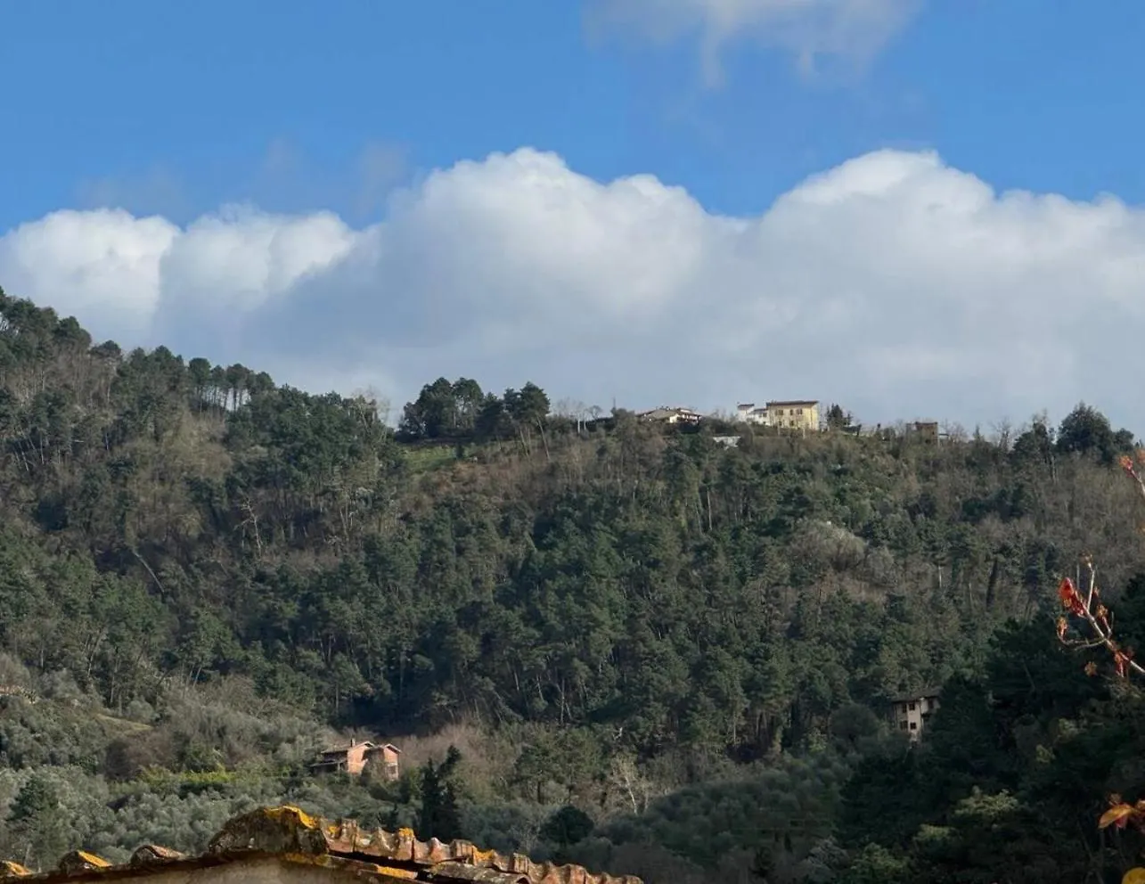 Feriehus Tuscany Secret Garden In Versilia Camaiore